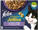 FELIX zseb (12x85g/kra) sens zselék