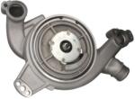 THERMOTEC Pompă de apă, răcire motor THERMOTEC WP-MN117 (WP-MN117)