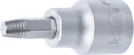 BGS technic Bit detaşabil extractoare şuruburi | acţionare pătrat interior 10 mm (3/8") | pentru profil T defect (pentru Torx) T30 (BGS 7098-T30)