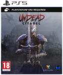 Dark Curry Undead Citadel VR2 (PS5)