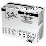 Sheba alutasak baromfi ízesítésben macskák részére 72x85 g 72 x 85 g - csui