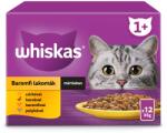 Whiskas alutasak 12 pack eledel macskák részére szárnyas válogatásban ízesítéssel 12x85 g 12 x 85 g
