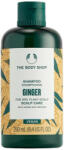 The Body Shop Gyömbéres Fejbőrápoló Sampon (250 ml)