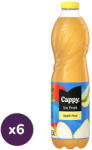 Cappy Ice Fruit alma-körte szénsavmentes ital bodzavirág ízesítéssel (6x1, 5 liter)
