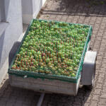 Relaxdays Utánfutó háló rakományrögzítéshez zöld 2x3 m