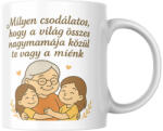  Milyen csodálatos, hogy a világ összes nagymamája közül te vagy a miénk (2 lány) bögre (osszes_nagymama_kozul_te_vagy_a_mienk_bogre_2_lany)