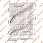 Pátria Nyomtatvány Fejlődési lap 0-10 éves korig (lány) A/4 álló (C.3341-45/C)