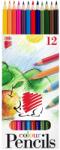 ICO Színes ceruza készlet, hatszögletű Süni Ico 12 klf. szín (52343)