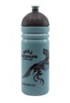 R&B Egészséges palack T-REX 0, 7 l