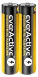 everActive Alkaline batteries everActive Industrial Alkaline LR03 AAA - carton box - 40 pieces (EVLR03S2IK) Baterie reincarcabila