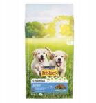 Friskies Junior Száraz Kutyaeledel Kölyökkutyáknak Csirke Tej és Zöldség 8kg
