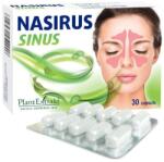 PlantExtrakt Nasirus Sinus, 30 capsule, PlantExtrakt - springfarma