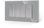 Luxion Intrerupator Mecanic 5 Posturi LUXION cu Rama din Sticla, Standard Italian, 4M - culoare gri