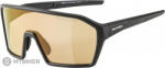 Alpina Ochelari ALPINA RAM Q-LITE V, negru mat