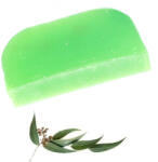 Ancient Wisdom Eukaliptusz illóolajos szilárd sampon argánolajjal - 100 g (Solid-10)