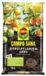 COMPO Citrusföld 10L