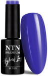 NTN Premium UV/LED Géllakk 109#
