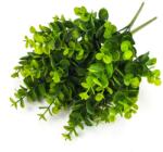  Eukaliptusz csokor sárgászöld - kosarbolt