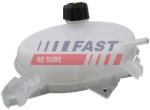 FAST Vas de expansiune, racire FAST FT61246 (FT61246)