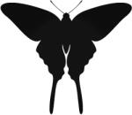 Stickify Pillangó 8 autómatrica