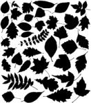 Stickify Levelek matrica