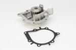 Continental Ctam Pompă de apă, răcire motor CONTINENTAL CTAM WP6100 (WP6100)