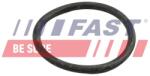 FAST Inel etansare, furtun lichid racire FAST FT49918 (FT49918)
