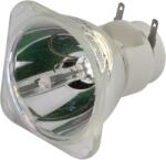 Flash LAMP 10R