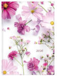 TopTimer Naptár, tervező, B5, heti, TOPTIMER, "Joy", pillangóvirág (CONKJ011PVU)