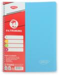 DACO Caiet A4 cu spira, 120 file, 4 subiecte DACO CT5202, 65g/mp, coperta plastic, Albastru (CT5202/ALBASTRU)