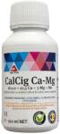 Aectra Ingrasamant foliar CALCIG Ca-Mg - 100 ml, Aectra, Legume, Fructe (PR-103986)