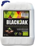 Aectra Biostimulator BLACKJAK - 5 Litri, Porumb, Floarea soarelui, Mazare, Rapita, Telina, Spanac (PR-101014)
