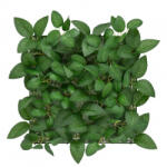 Mirpol Borostyán II. műanyag zöldfal 33x33 cm (5905610253790) - homelux