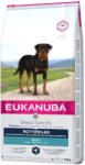EUKANUBA Eukanuba Adult Rottweiler 12kg + ingyen kutya meglepetés