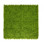 Mirpol Moha műanyag zöldfal 50x50 cm (5905610253776) - geminiduo