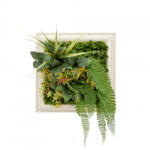 Mirpol Idyll műanyag zöldfal 30x30 cm (5905610253516) - geminiduo