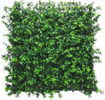 Mirpol Puszpáng műanyag zöldfal 50x50 cm (5902659145185) - geminiduo