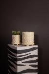 Byon 23, 5 cm L (5295303413)