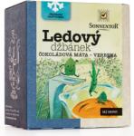 SONNENTOR - Ice Mug® Chocolate Mint - Verbena, pliculețe de ceai, organic, 16 bucăți