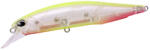 Duo REALIS JERKBAIT 100SP 10cm 14.5gr CEA0317 Clear Chart Halo