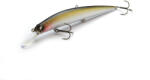 Raid LEVEL MINNOW PLUS 125mm 14gr 012 Bait Japan