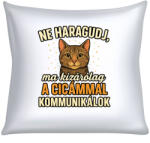 Ne haragudj, ma kizárólag a cicámmal kommunikálok párna (ma_kizarolag_a_cicammal_kommunikalok_parna)