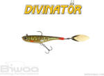 Biwaa SHAD DIVINATOR MEDIUM 18cm 35gr 54 Northern