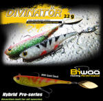 Biwaa SHAD DIVINATOR MEDIUM 18cm 35gr 49 Rainbow