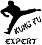 Stickify Kung-Fu Expert matrica