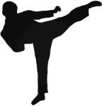 Stickify Karate rugás "1" matrica