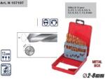 Raider Set burghie HSS titanate -13 buc (2-8mm), Raider Burghiu