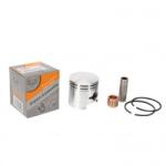 Micul Fermier Piston complet ATOMIZOR 3A Pulverizator
