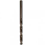 Raider Burghiu metal HSS-CO Raider 4.5 mm Burghiu