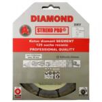 Strend Pro Disc diamantat pentru gresie Strend Pro Segment, 125 mm, taiere uscata, profesional Disc de taiere